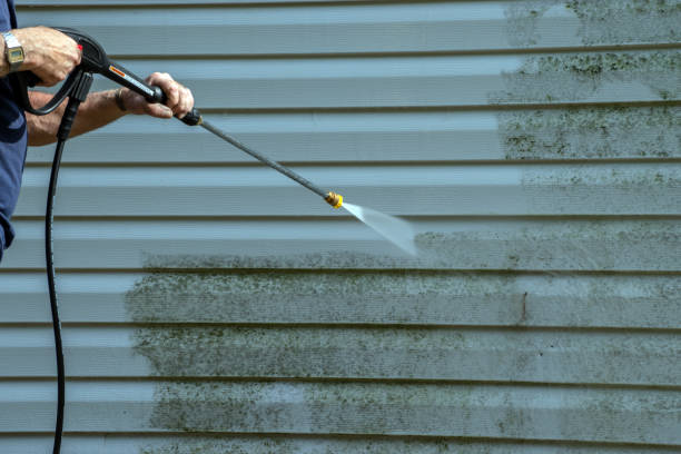 Best Oil Spill Cleanup  in Brownsville, KY